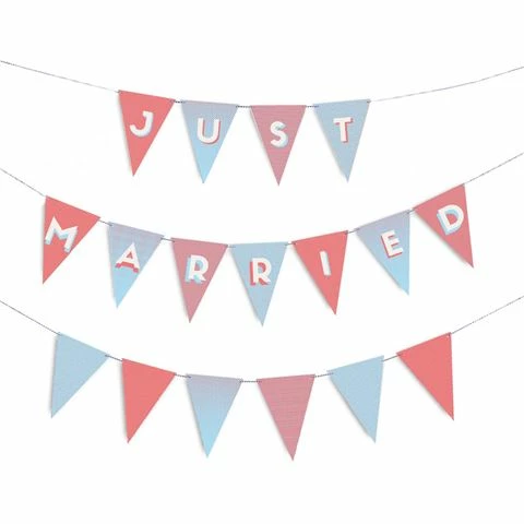 Doiy - Just Married Bunting 3 Doiy - Just Married Bunting